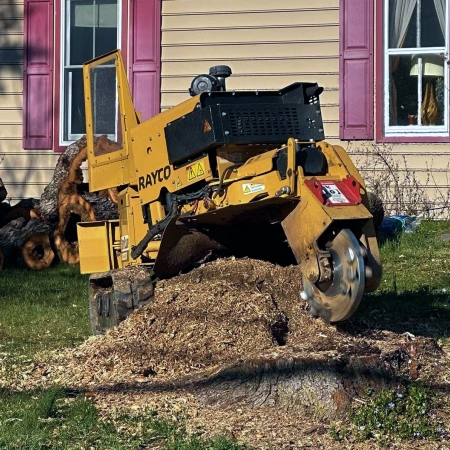 Residential Stump Grinding service icon