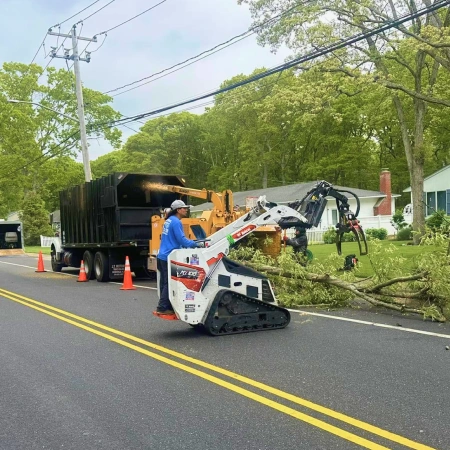 Residential Tree Trimming service icon